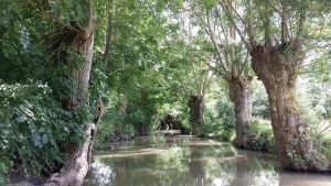 Marais Poitevin